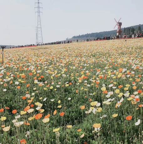 1589070803913028925.png 1589070803913028925.png