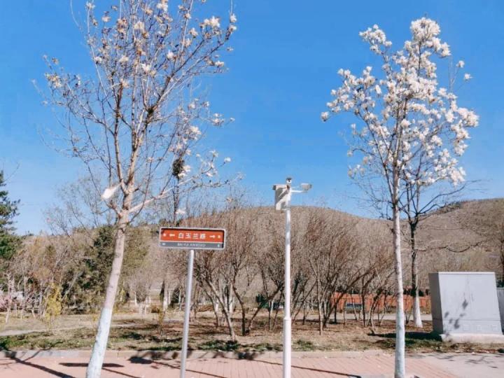 1587520623128095115.jpg 1587520623128095115.jpg