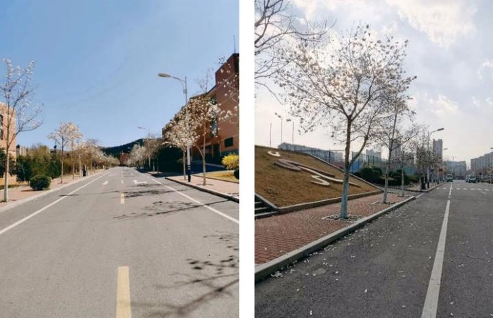 1587523425241069106.jpg 1587523425241069106.jpg