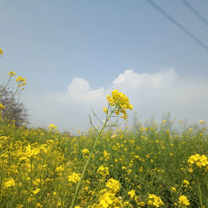 1589070888003092626.png 1589070888003092626.png