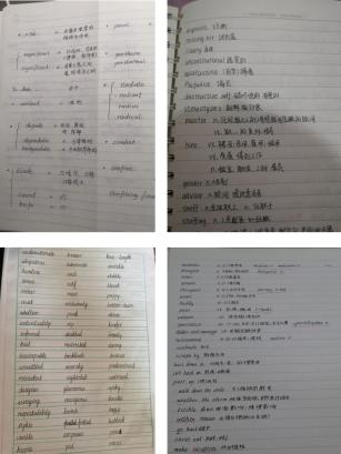 1591506033061073166.jpg 1591506033061073166.jpg